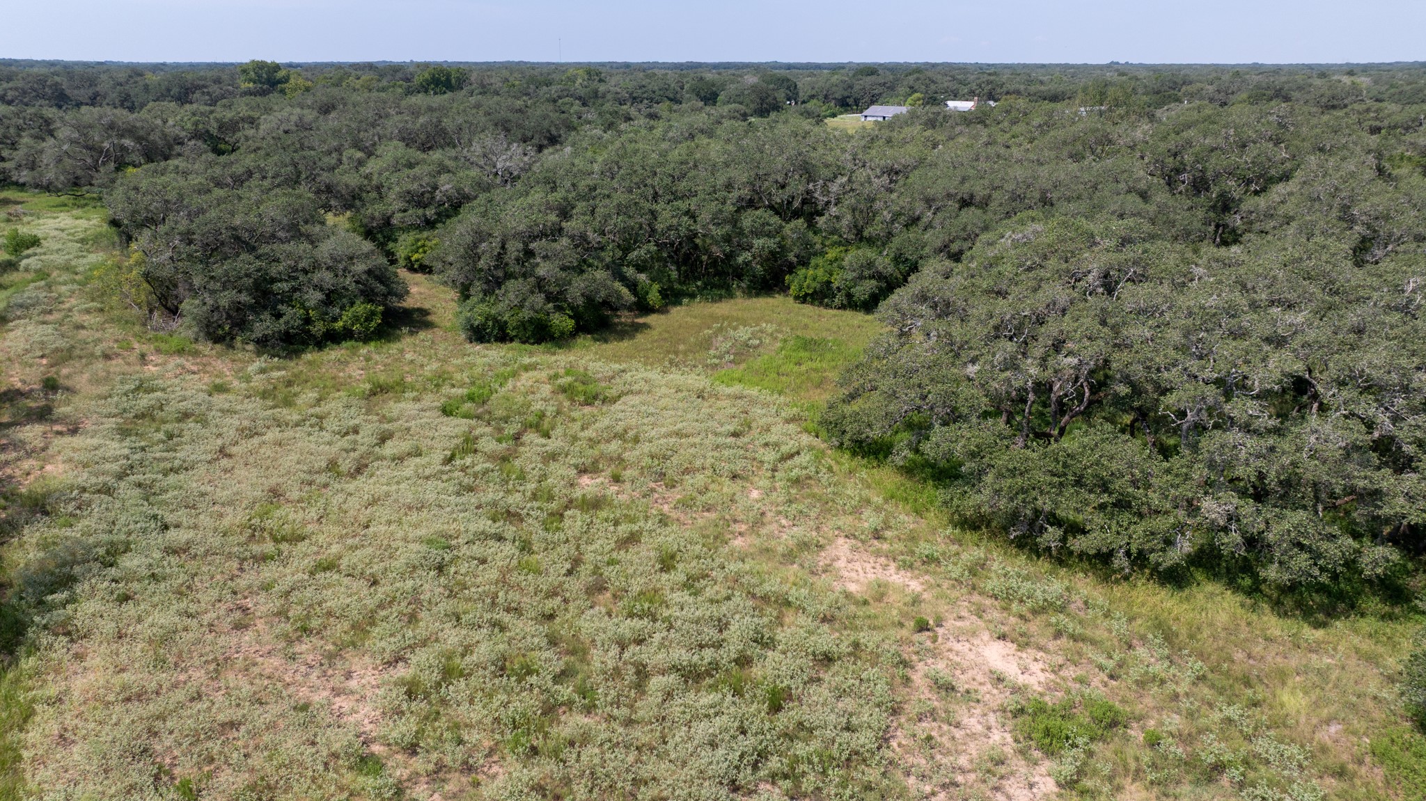 Tbd Shorebird Lane Columbus, TX 78934 - Photo 8 of 21 a view of a field with a tree