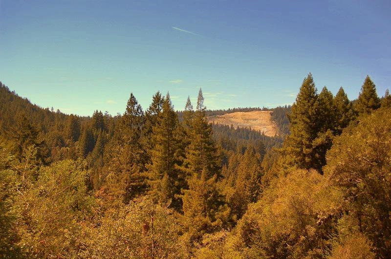 795 Redwood Road Felton, CA 95018 - Photo 1 of 9 Gallery Image 1