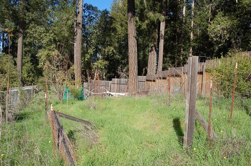 795 Redwood Road Felton, CA 95018 - Photo 6 of 9 Gallery Image 6