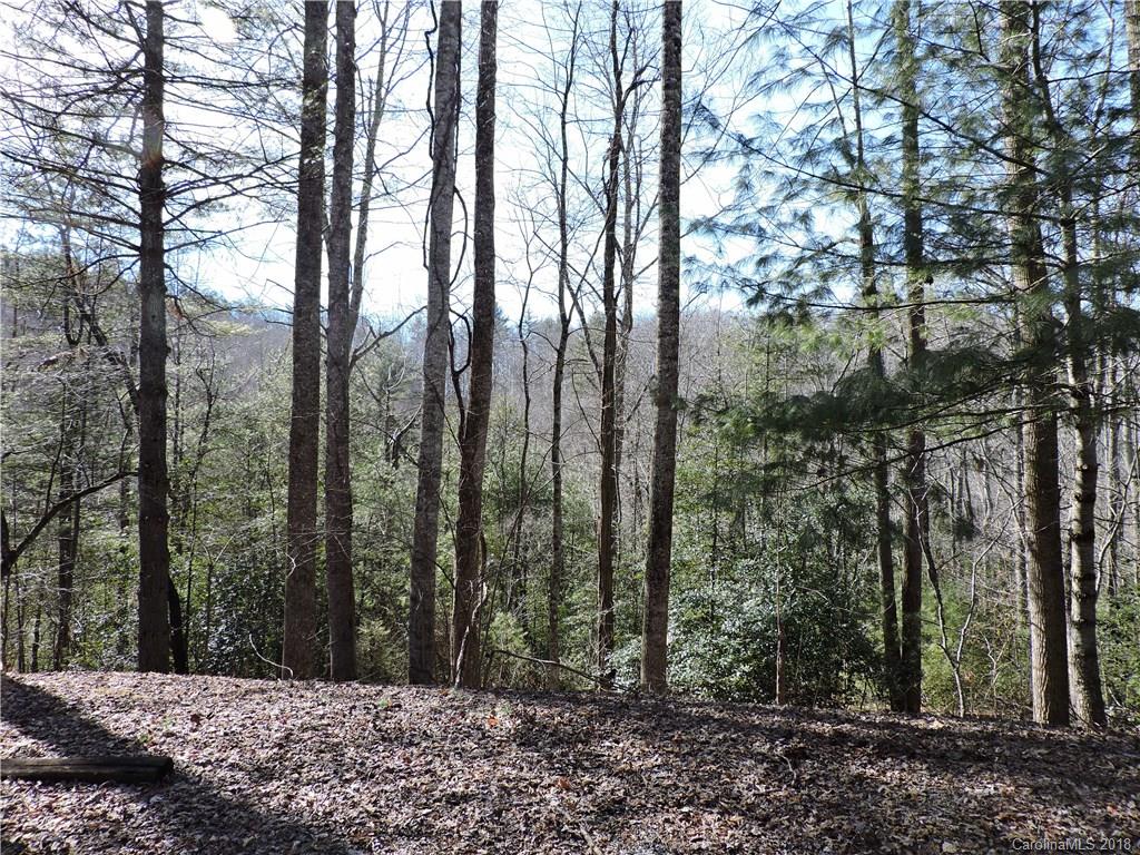 88 Grace Ruth Road, Unit 88 Spruce Pine, NC 28777 - Photo 3 of 32 Gallery Image 3