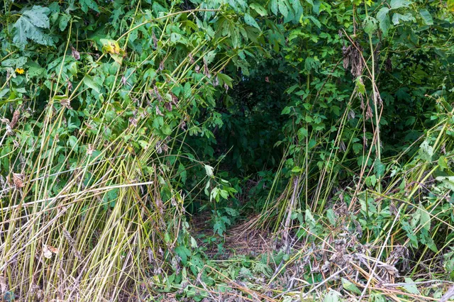 $618,000 | 430 430th Avenue Southwest, East Grand Forks, MN 56721