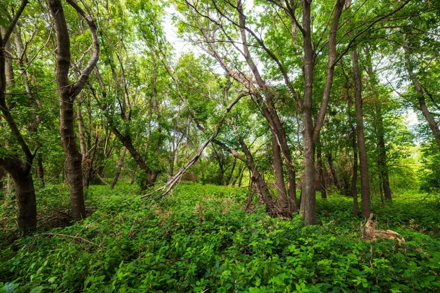 $618,000 | 430 430th Avenue Southwest, East Grand Forks, MN 56721