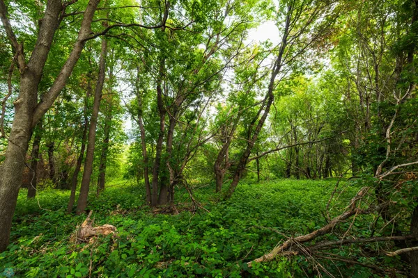 $618,000 | 430 430th Avenue Southwest, East Grand Forks, MN 56721