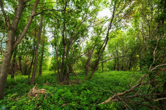 $618,000 | 430 430th Avenue Southwest, East Grand Forks, MN 56721