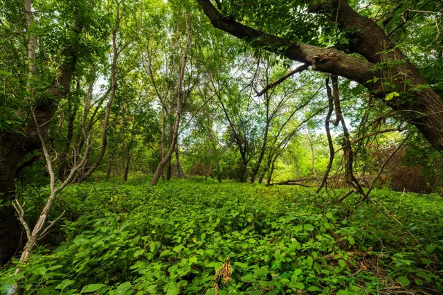 $618,000 | 430 430th Avenue Southwest, East Grand Forks, MN 56721