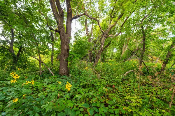 $618,000 | 430 430th Avenue Southwest, East Grand Forks, MN 56721