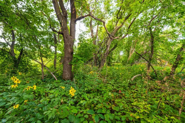 $618,000 | 430 430th Avenue Southwest, East Grand Forks, MN 56721