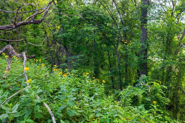 $618,000 | 430 430th Avenue Southwest, East Grand Forks, MN 56721