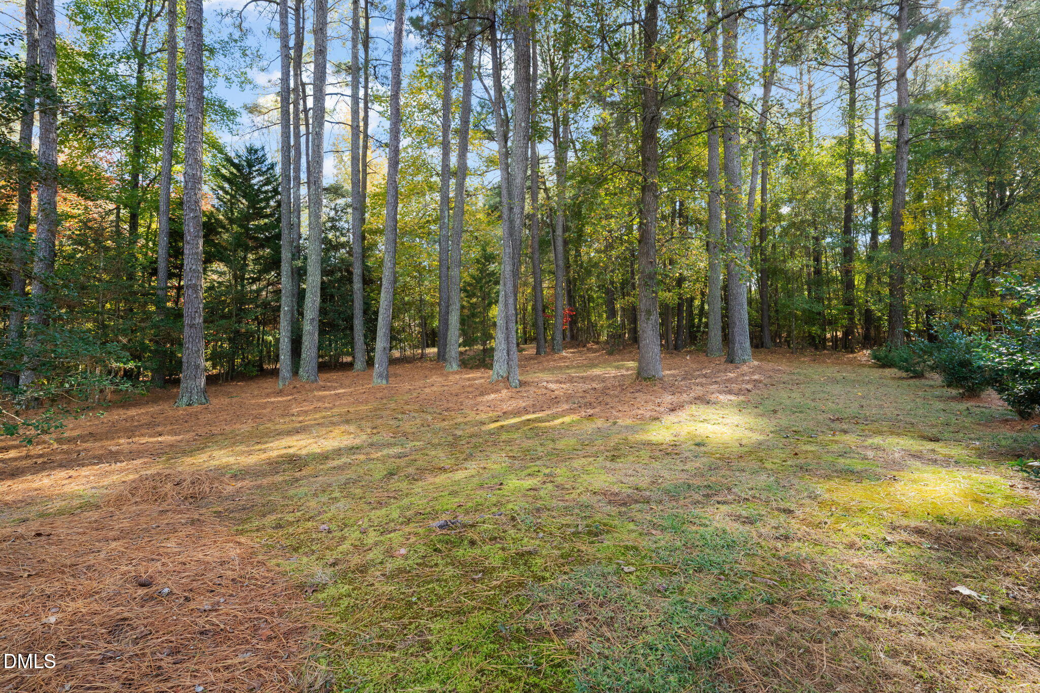 2605 Lizei Street Raleigh, NC 27616 - Photo 40 of 46 a view of outdoor space with trees