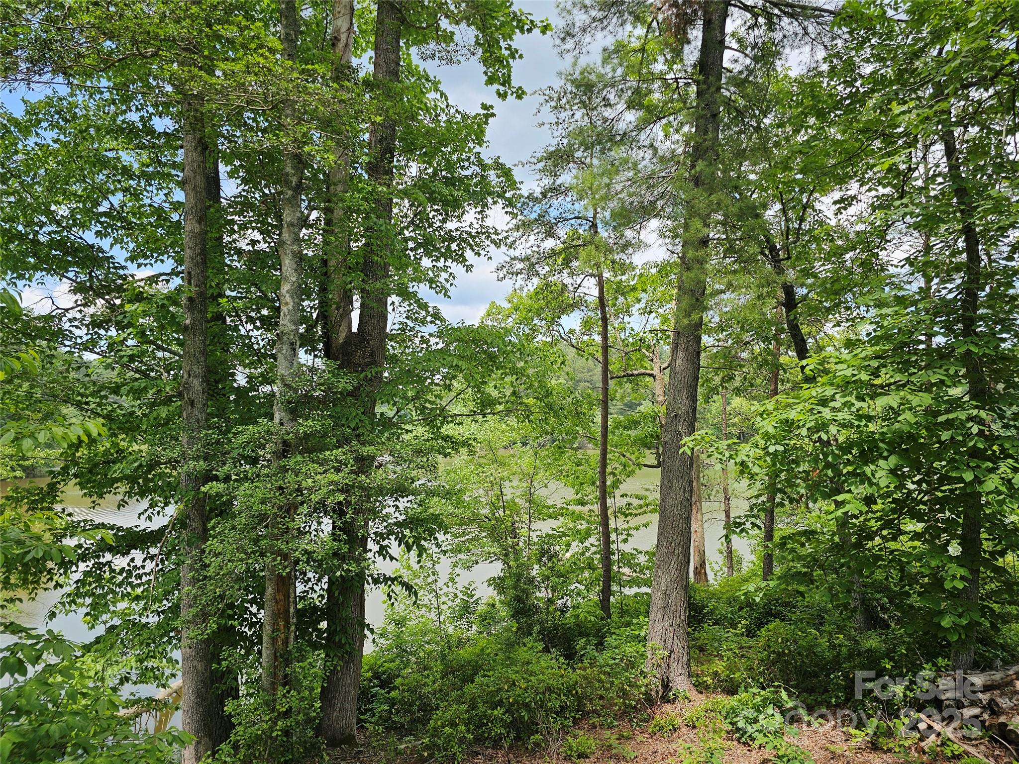 2226 Inlet Shore Road Northeast, Unit 29 Connelly Springs, NC 28612 - Photo 14 of 15 a view of outdoor space and trees