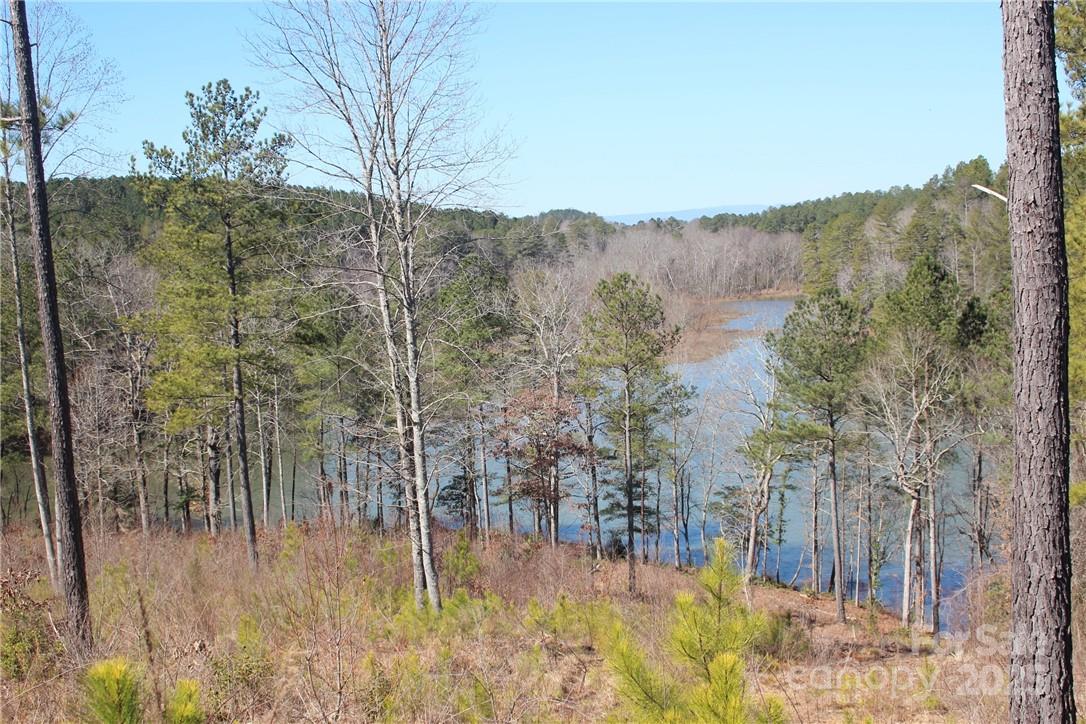 2226 Inlet Shore Road Northeast, Unit 29 Connelly Springs, NC 28612 - Photo 3 of 15 a view of a forest with mountains in the background