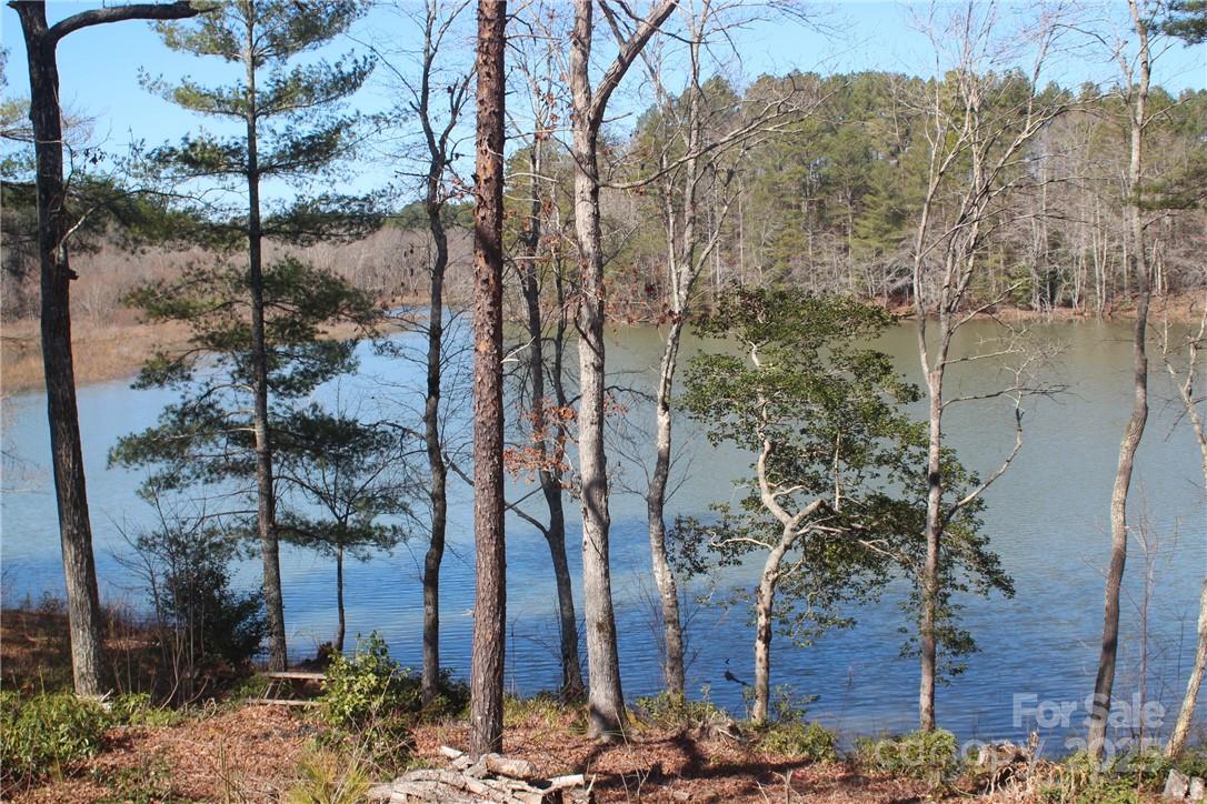 2226 Inlet Shore Road Northeast, Unit 29 Connelly Springs, NC 28612 - Photo 6 of 15