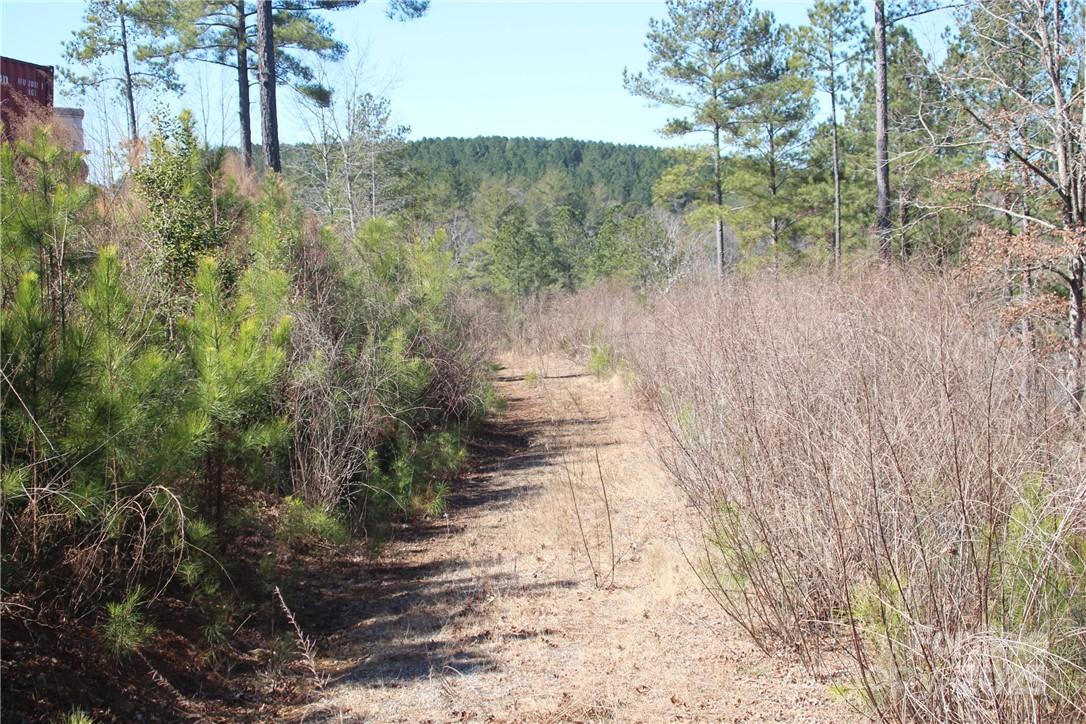 2226 Inlet Shore Road Northeast, Unit 29 Connelly Springs, NC 28612 - Photo 7 of 15 a view of a yard