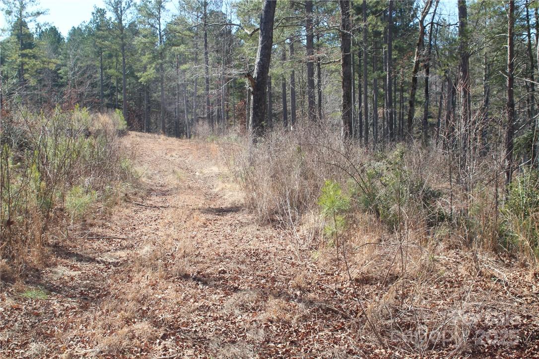 2226 Inlet Shore Road Northeast, Unit 29 Connelly Springs, NC 28612 - Photo 8 of 15 a view of a yard