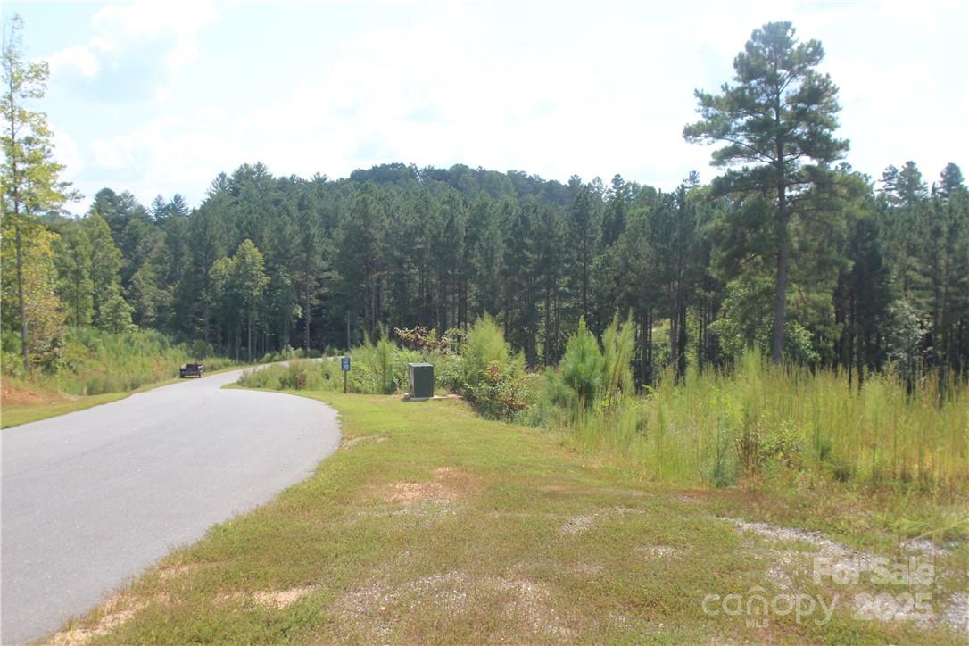 2226 Inlet Shore Road Northeast, Unit 29 Connelly Springs, NC 28612 - Photo 10 of 15 a view of a lake view with mountain view