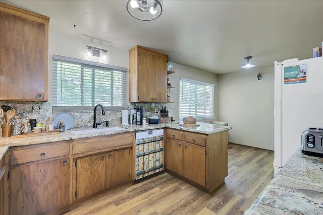 a view of a park with plants and trees