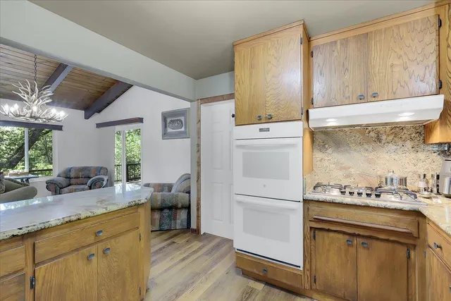 a view of a yard with plants and trees