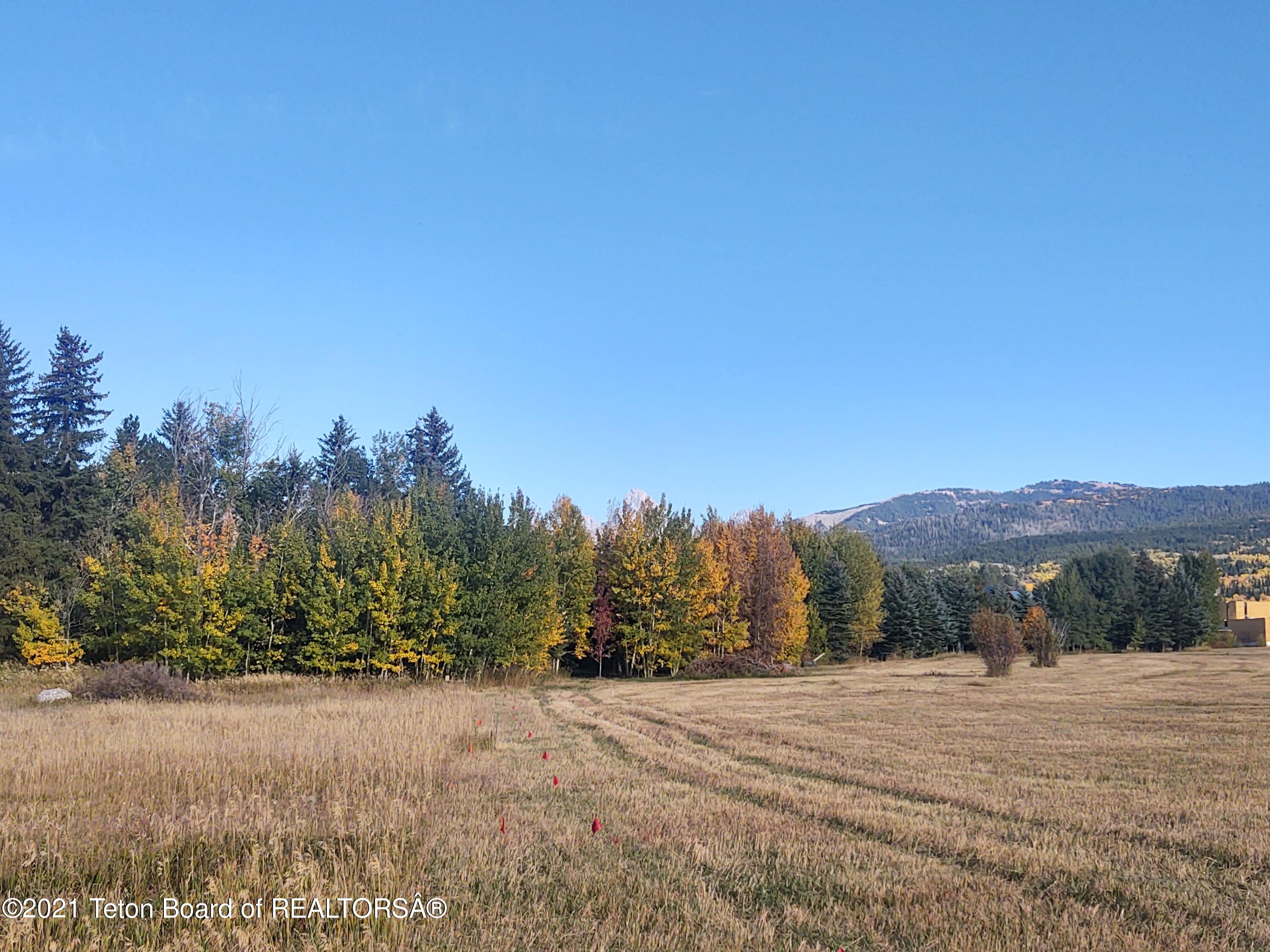 445 Targhee Towne Road Alta, WY 83414 - Photo 5 of 16 SW corner Teton View Fall