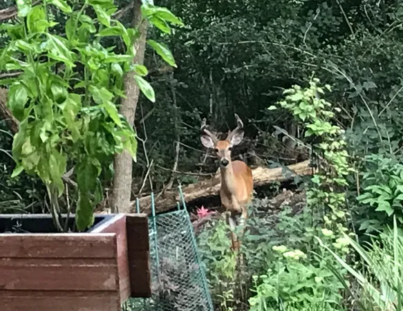 $395,000 | 2870 Teal Ridge Court, Unit B, Brookfield, WI 53045