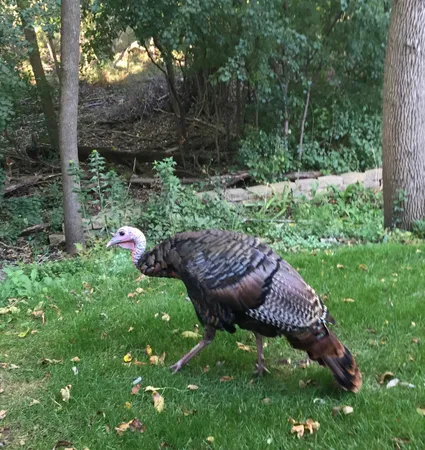 $395,000 | 2870 Teal Ridge Court, Unit B, Brookfield, WI 53045