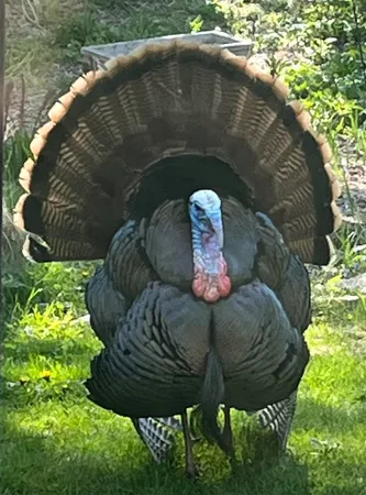 $395,000 | 2870 Teal Ridge Court, Unit B, Brookfield, WI 53045