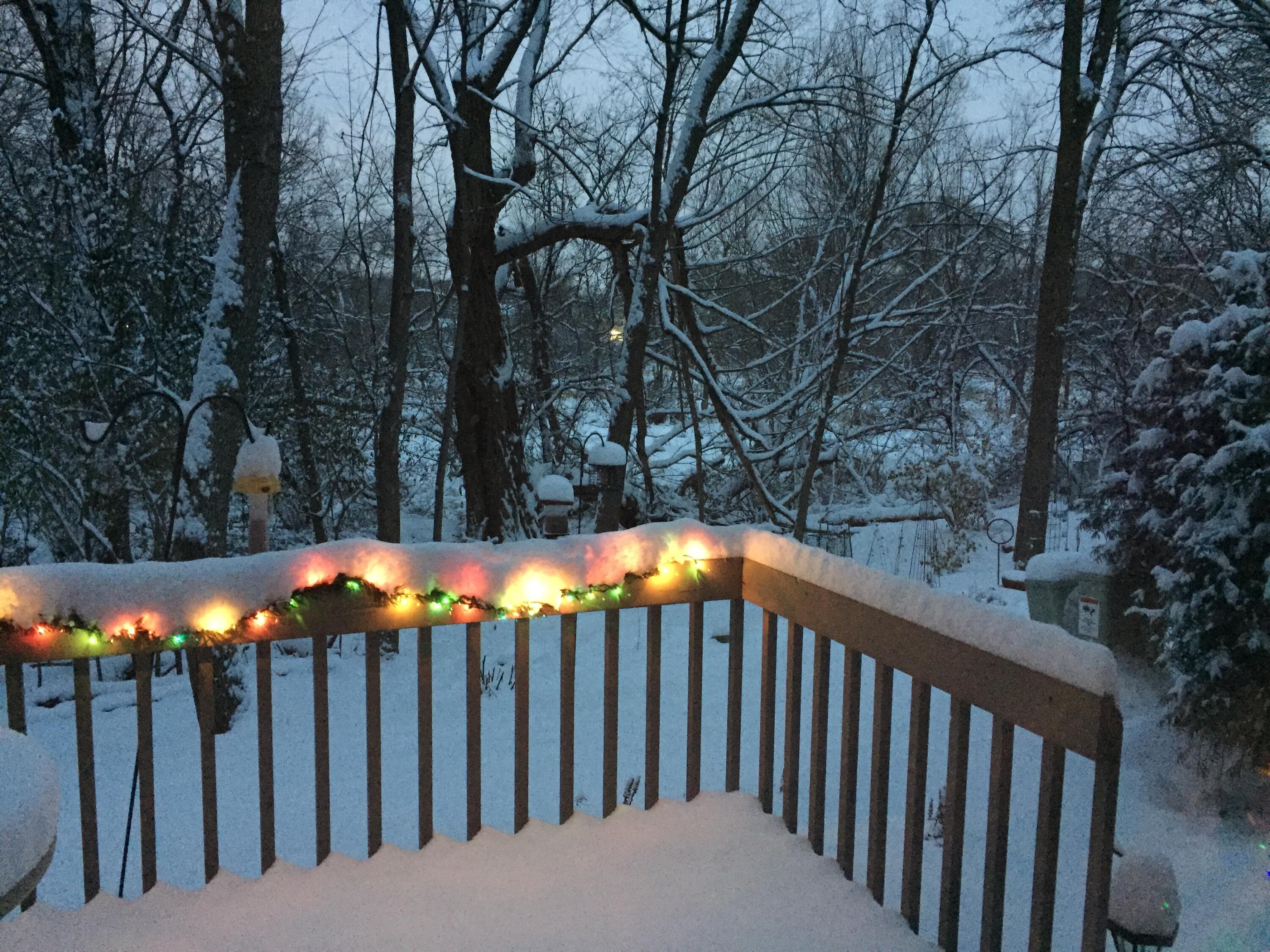 2870 Teal Ridge Court, Unit B Brookfield, WI 53045 - Photo 42 of 42 Private deck with seasonal views of the conservancy.