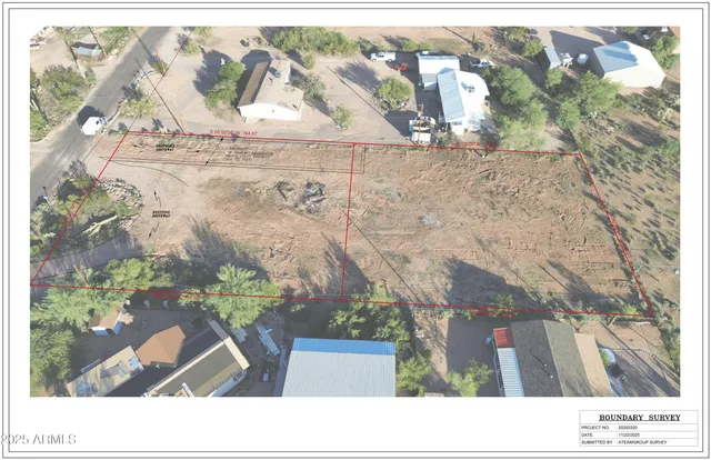 a black and white photo of a tree