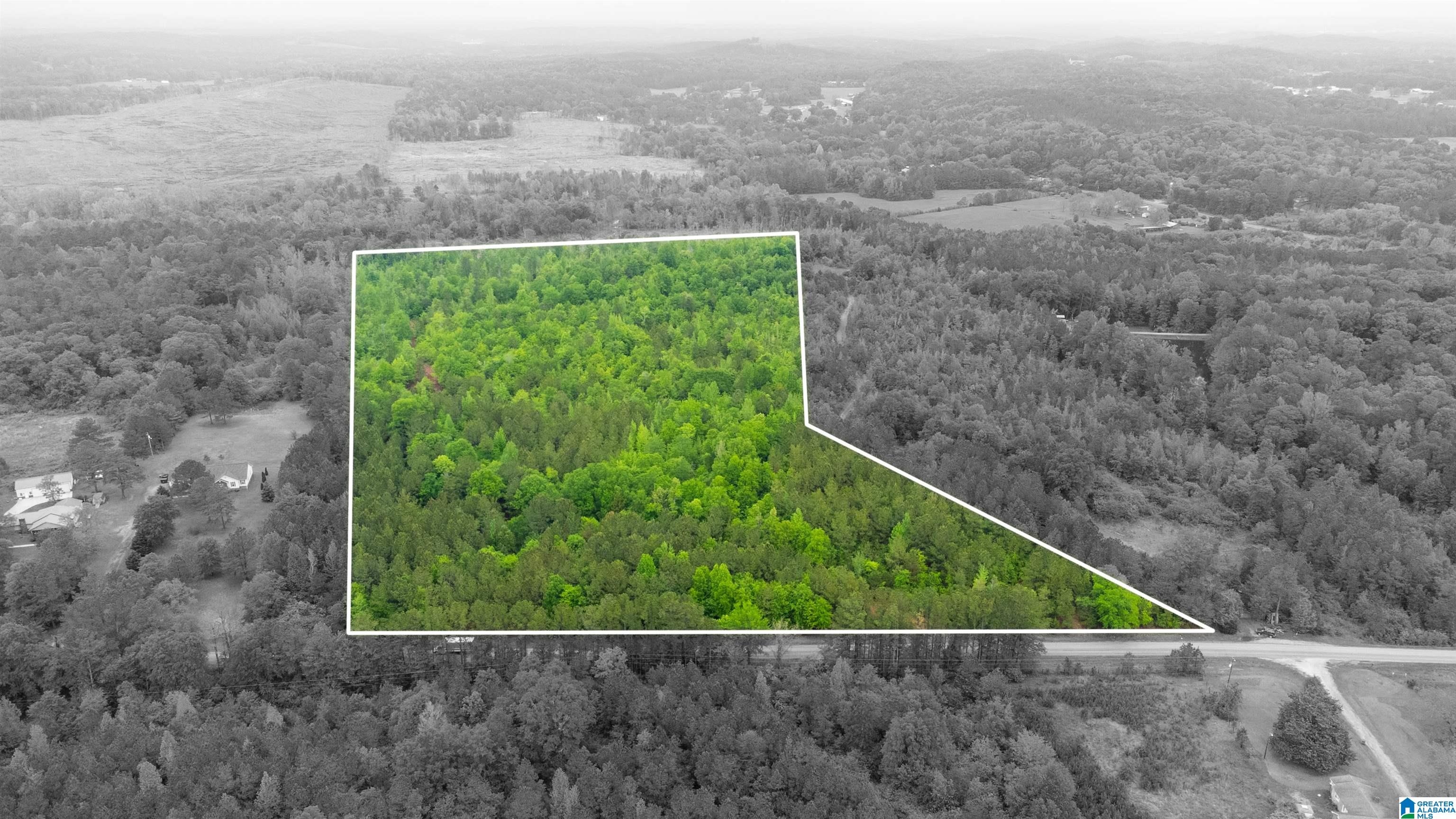 0 Cove Access Road, Unit 28 Talladega, AL 35160 - Photo 2 of 12