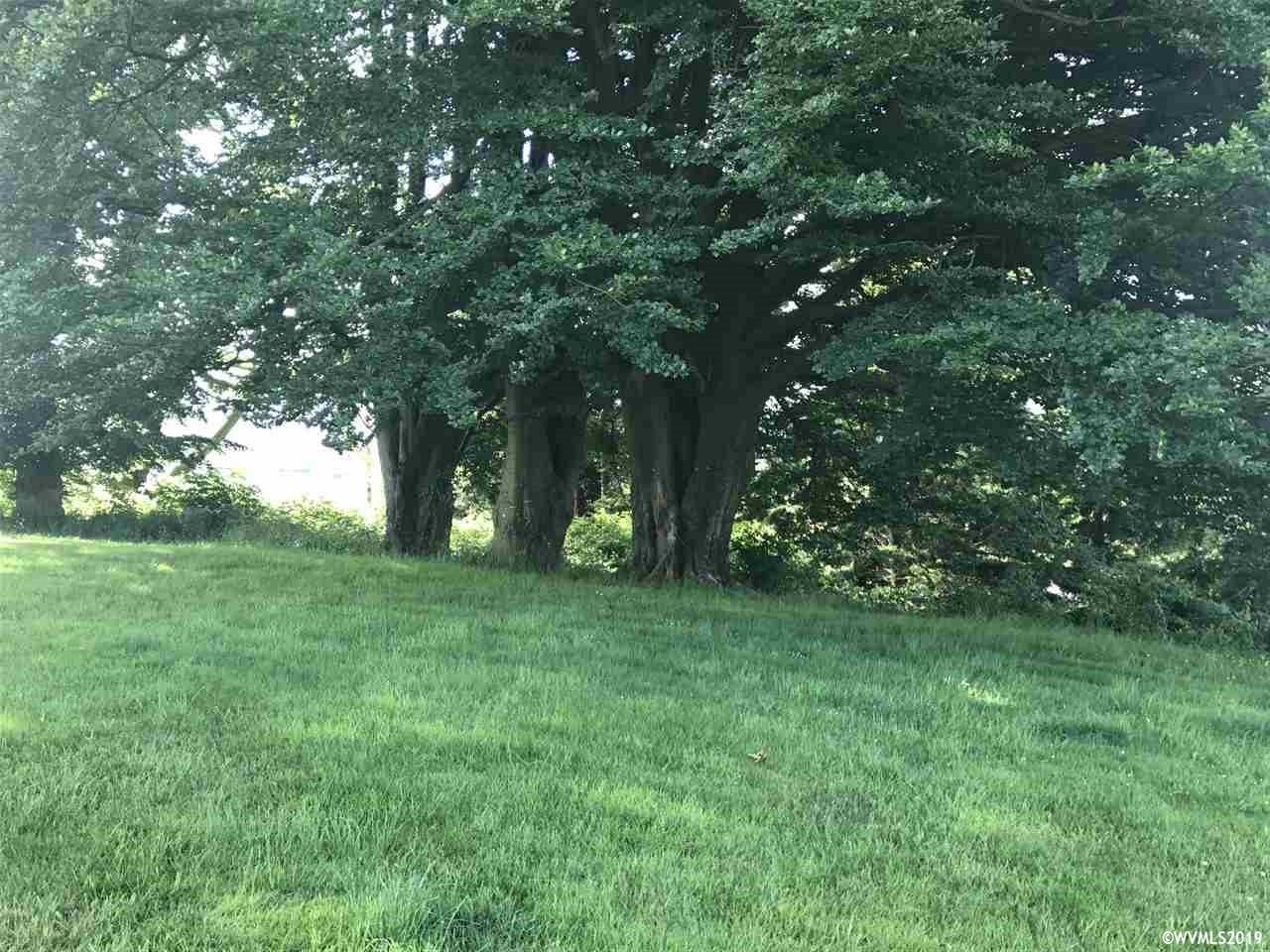 1530 McCormick Loop Road Tillamook, OR 97141 - Photo 4 of 23