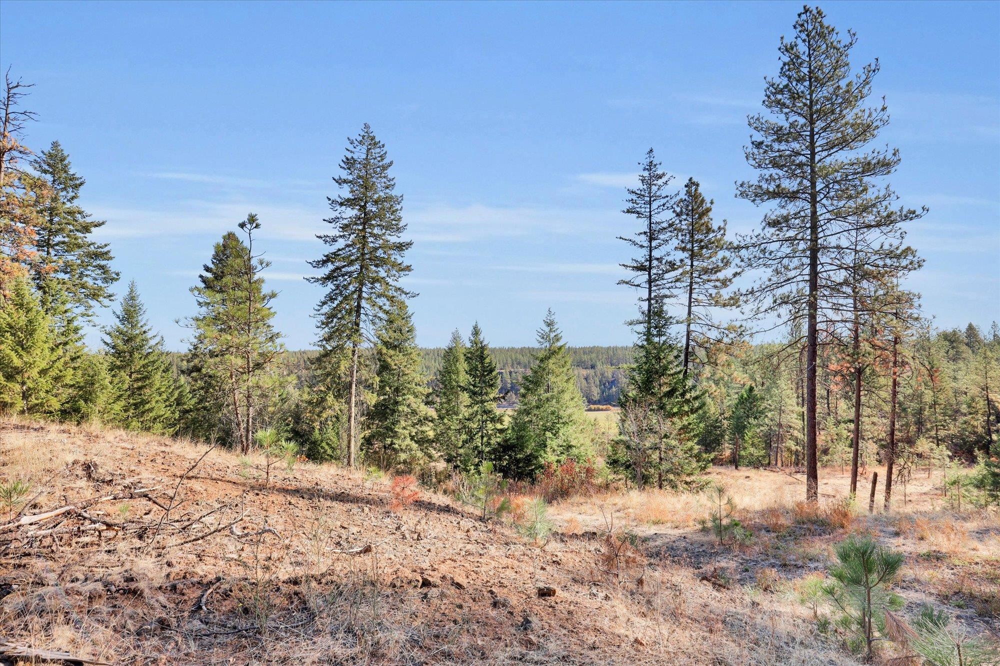Tbd South Scribner Road, Unit PARCEL #24272 9065 Cheney, WA 99004 - Photo 4 of 26