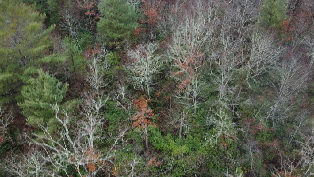 10.6-ac Cross Crk Cv Road Andrews, NC 28901 - Photo 2 of 38