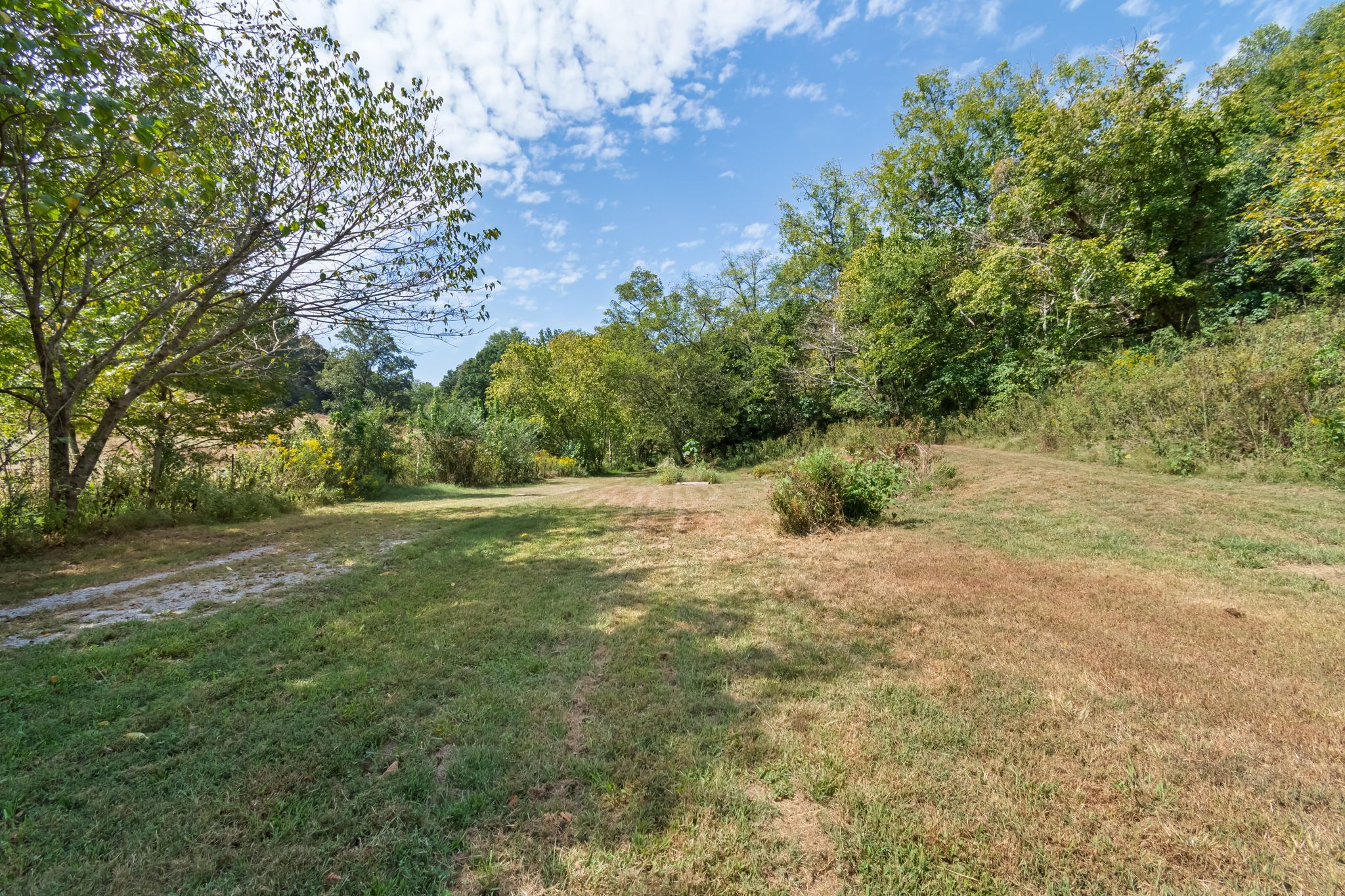 384 Big Spring Hollow Road Pulaski, TN 38478 - Photo 13 of 54 Gallery Image 13