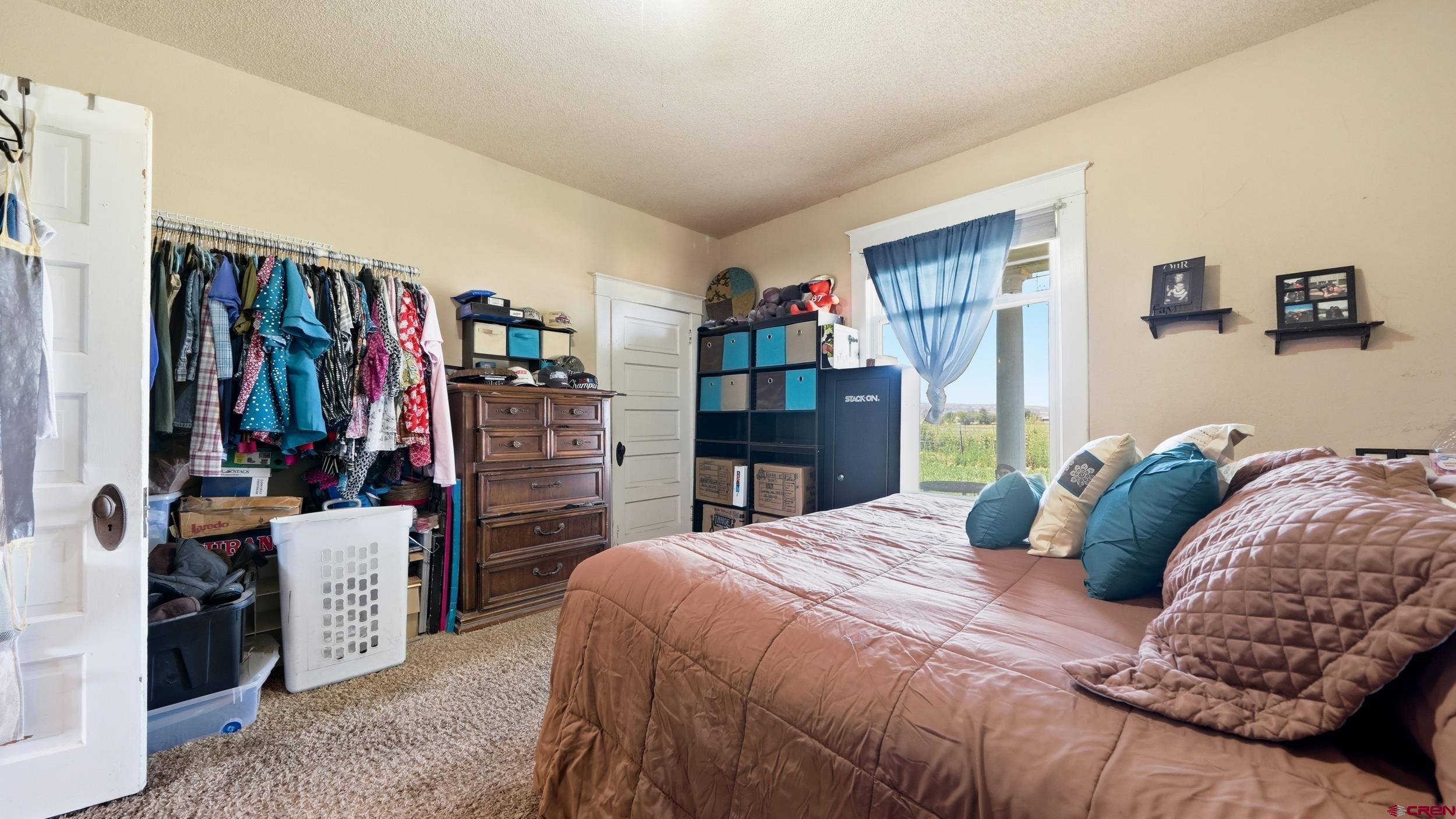 1130 20 Road Fruita, CO 81521 - Photo 4 of 8 Gallery Image 4
