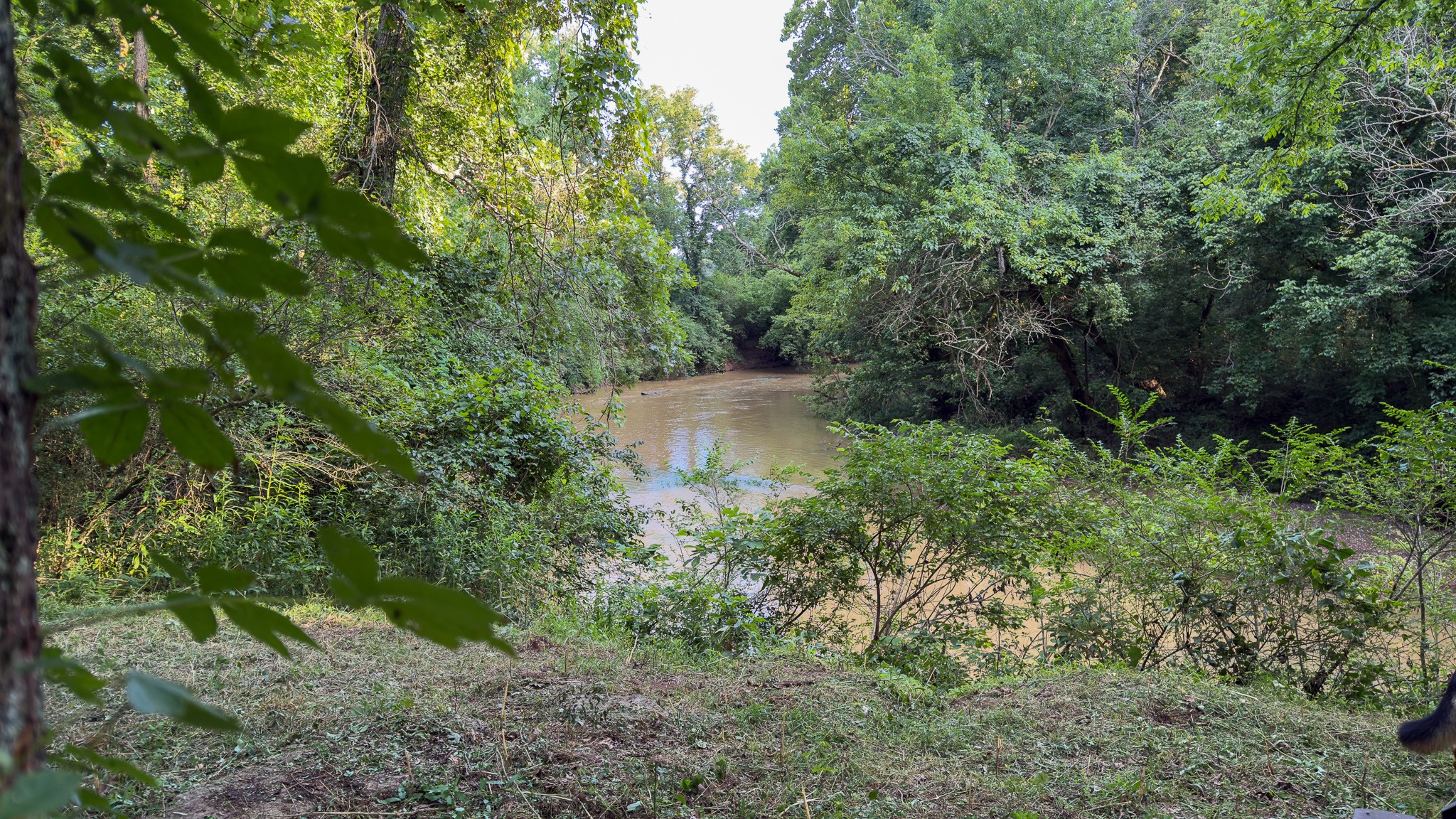 4383 North Chapel Road Franklin, TN 37067 - Photo 42 of 43 a view of a lush green forest