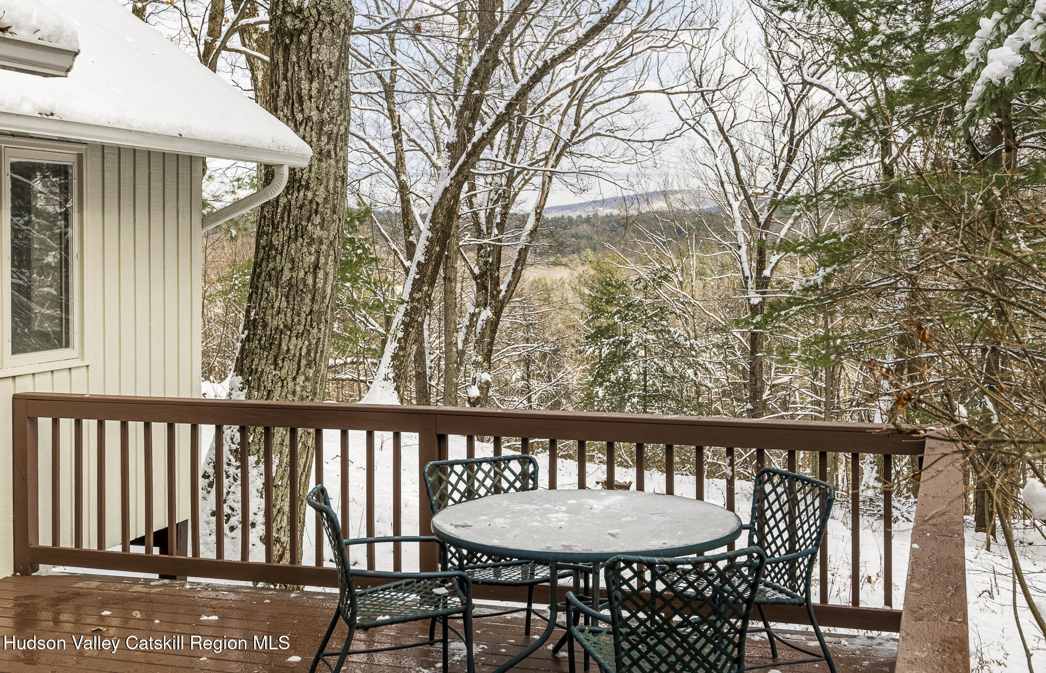 267 Reed Road Chatham, NY 12037 - Photo 23 of 29 23 Deck 4