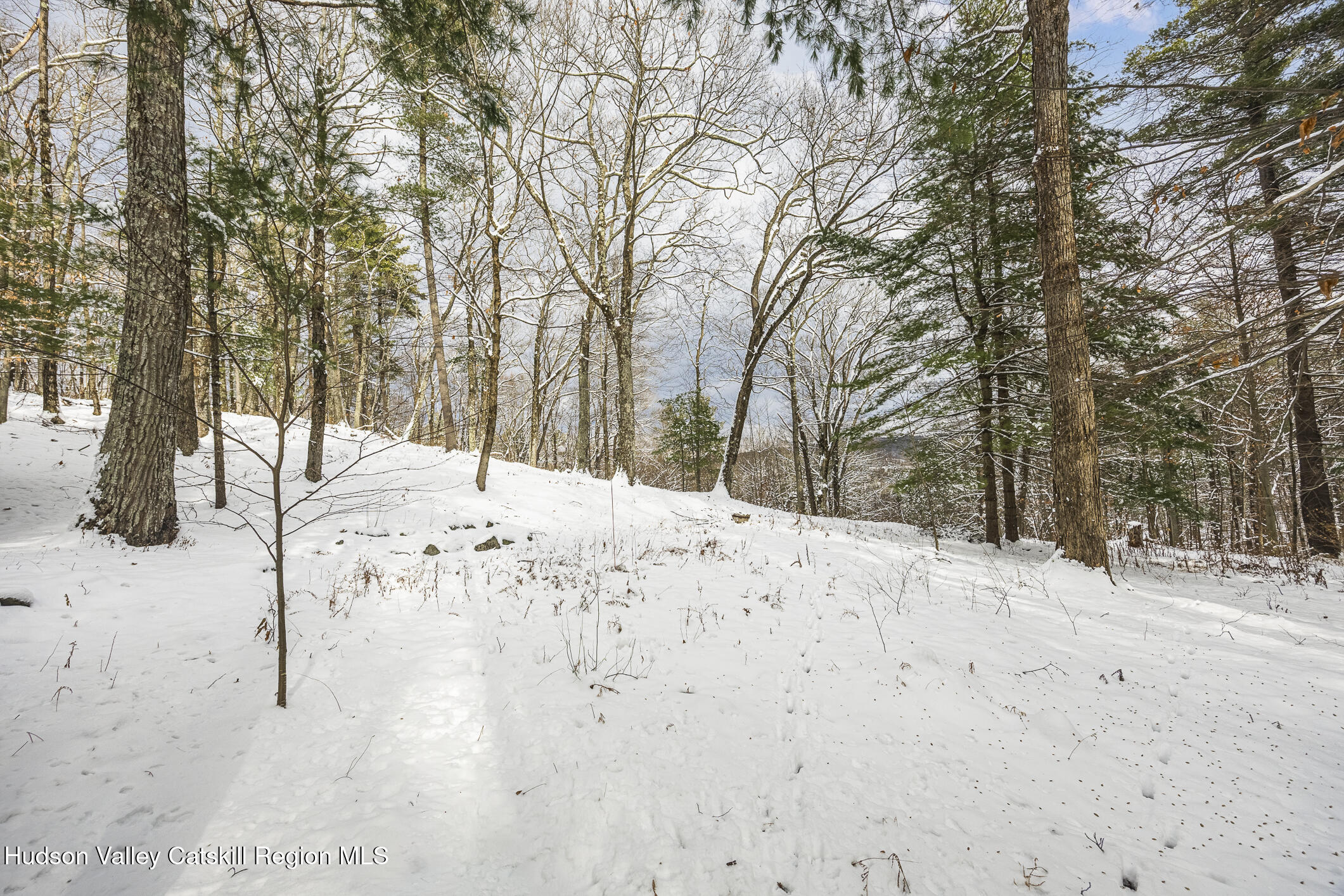 267 Reed Road Chatham, NY 12037 - Photo 28 of 29 28 Property