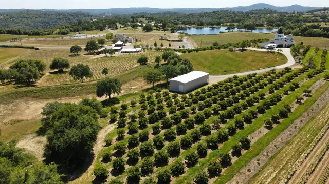 $1,475,000 | 1095 Cold Springs Road, Placerville, CA 95667