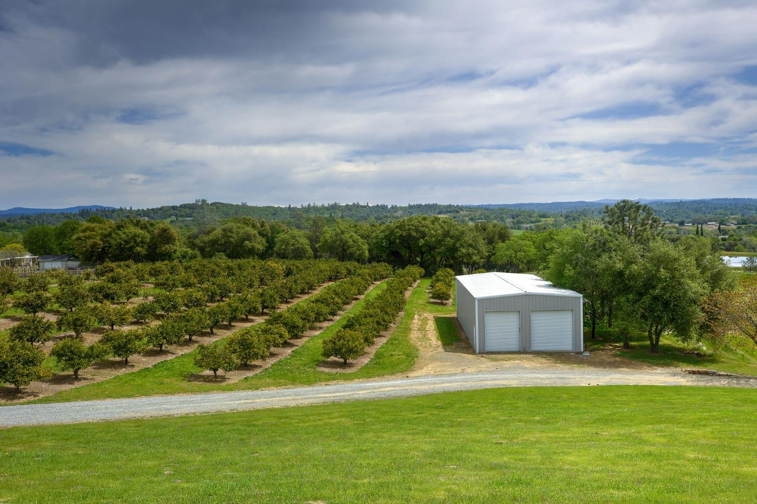 1095 Cold Springs Road Placerville, CA 95667 - Photo 10 of 55 a aerial view of a house with a garden