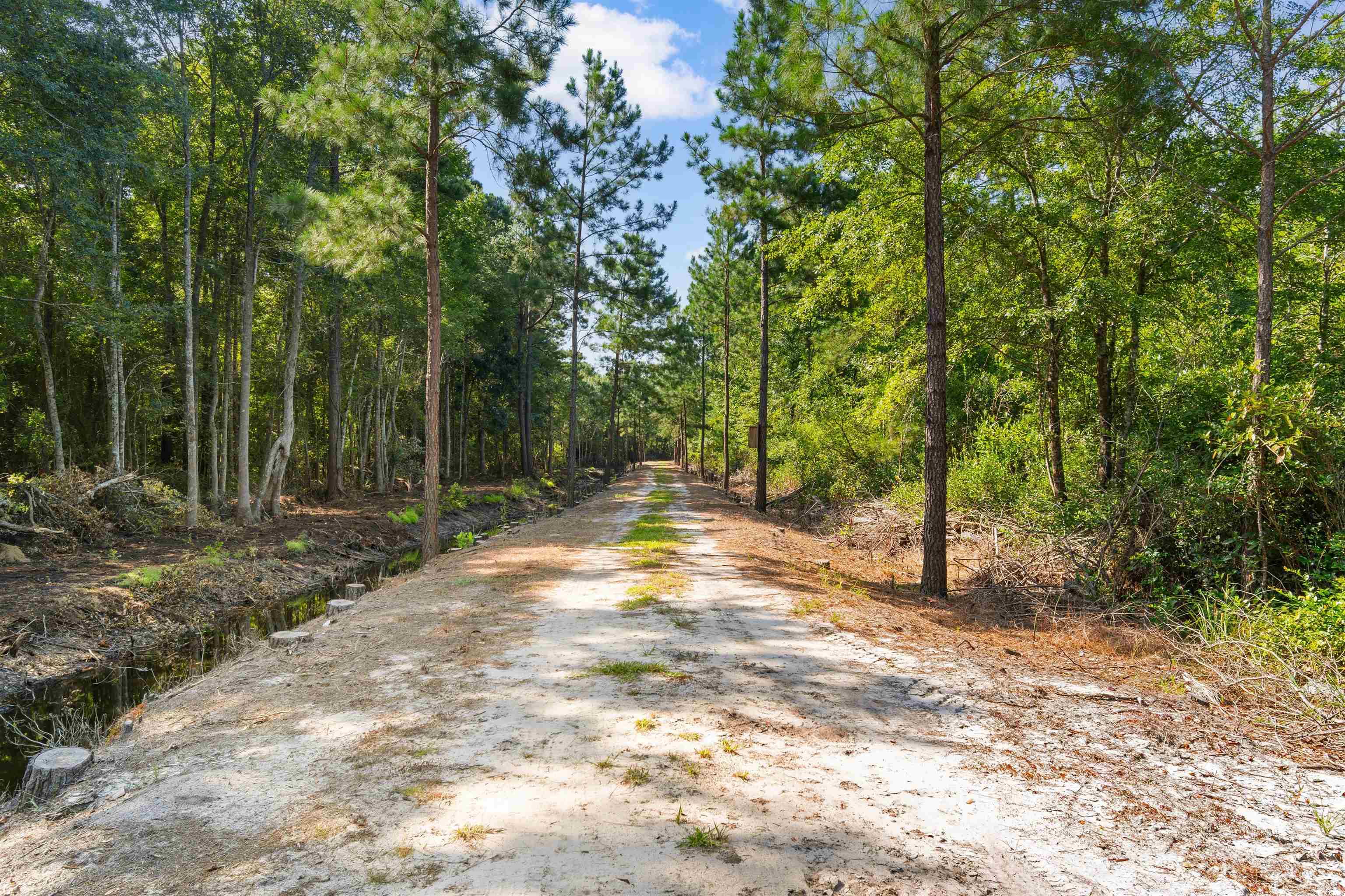Tbd Cartwheel Road Mullins, SC 29574 - Photo 11 of 19