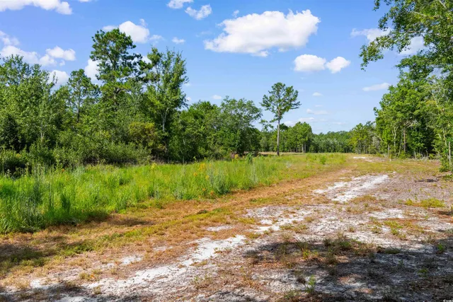$325,000 | Tbd Cartwheel Road, Mullins, SC 29574