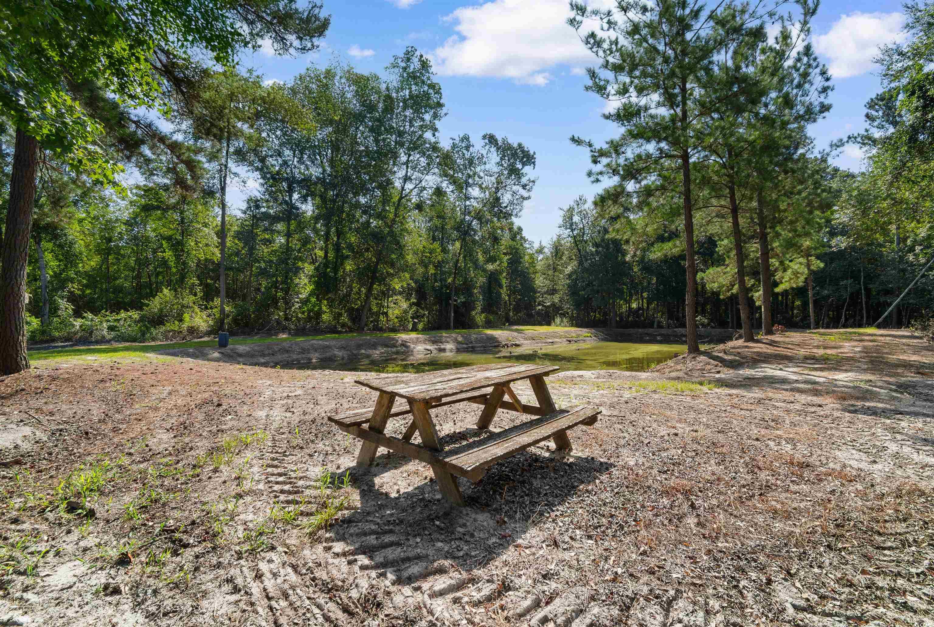 Tbd Cartwheel Road Mullins, SC 29574 - Photo 2 of 19