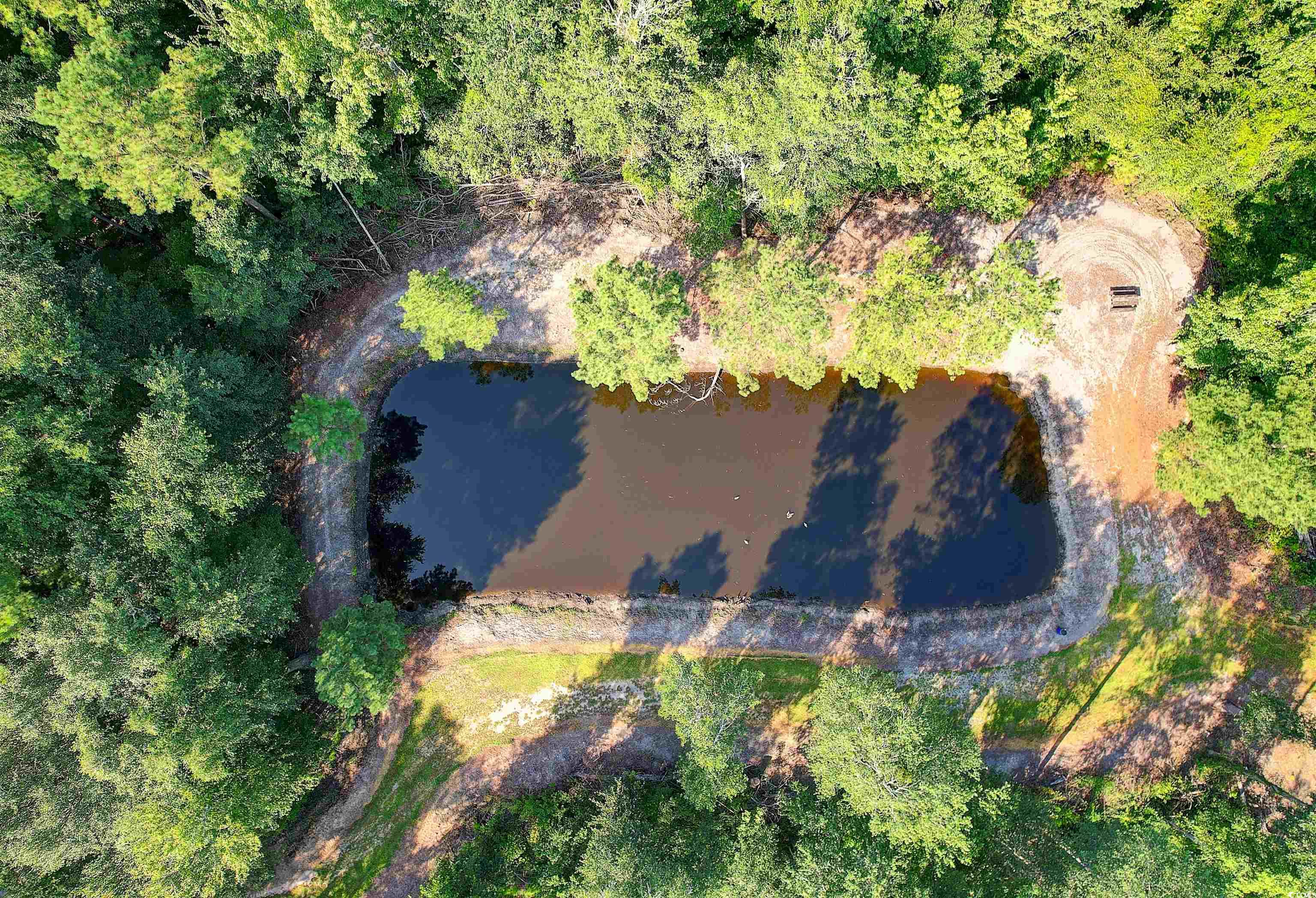 Tbd Cartwheel Road Mullins, SC 29574 - Photo 4 of 19