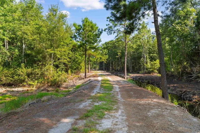 $325,000 | Tbd Cartwheel Road, Mullins, SC 29574
