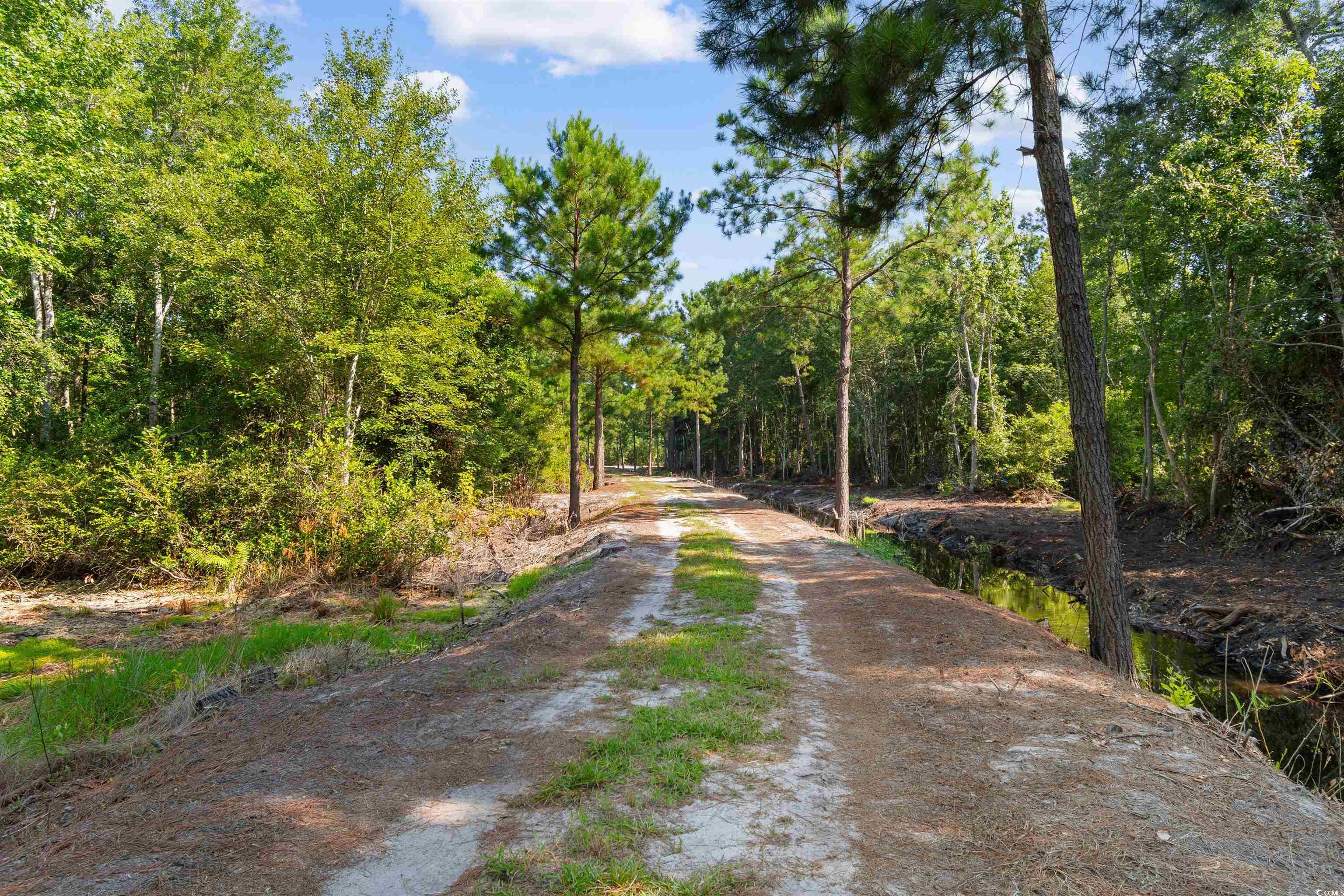 Tbd Cartwheel Road Mullins, SC 29574 - Photo 6 of 19