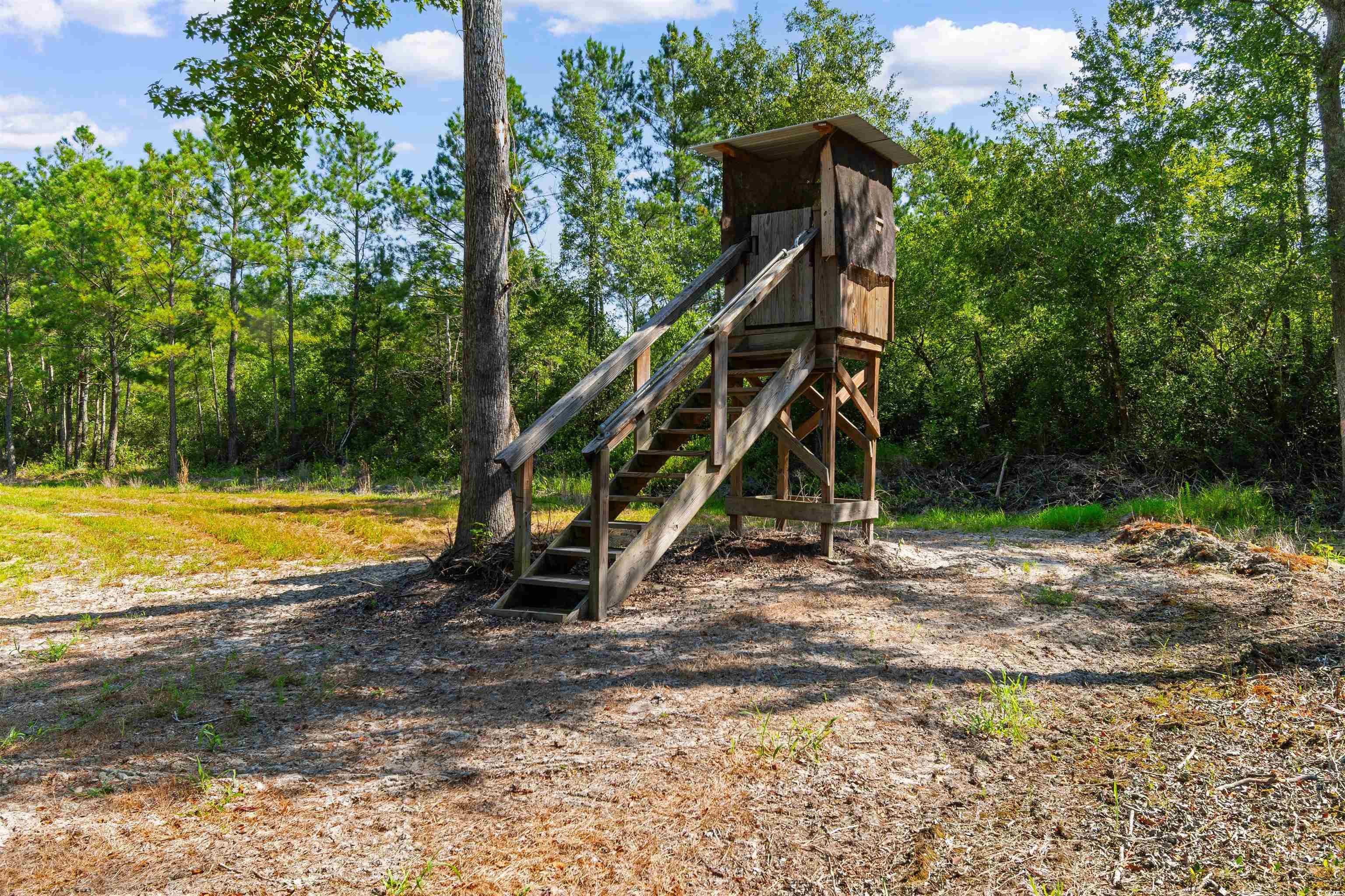 Tbd Cartwheel Road Mullins, SC 29574 - Photo 7 of 19