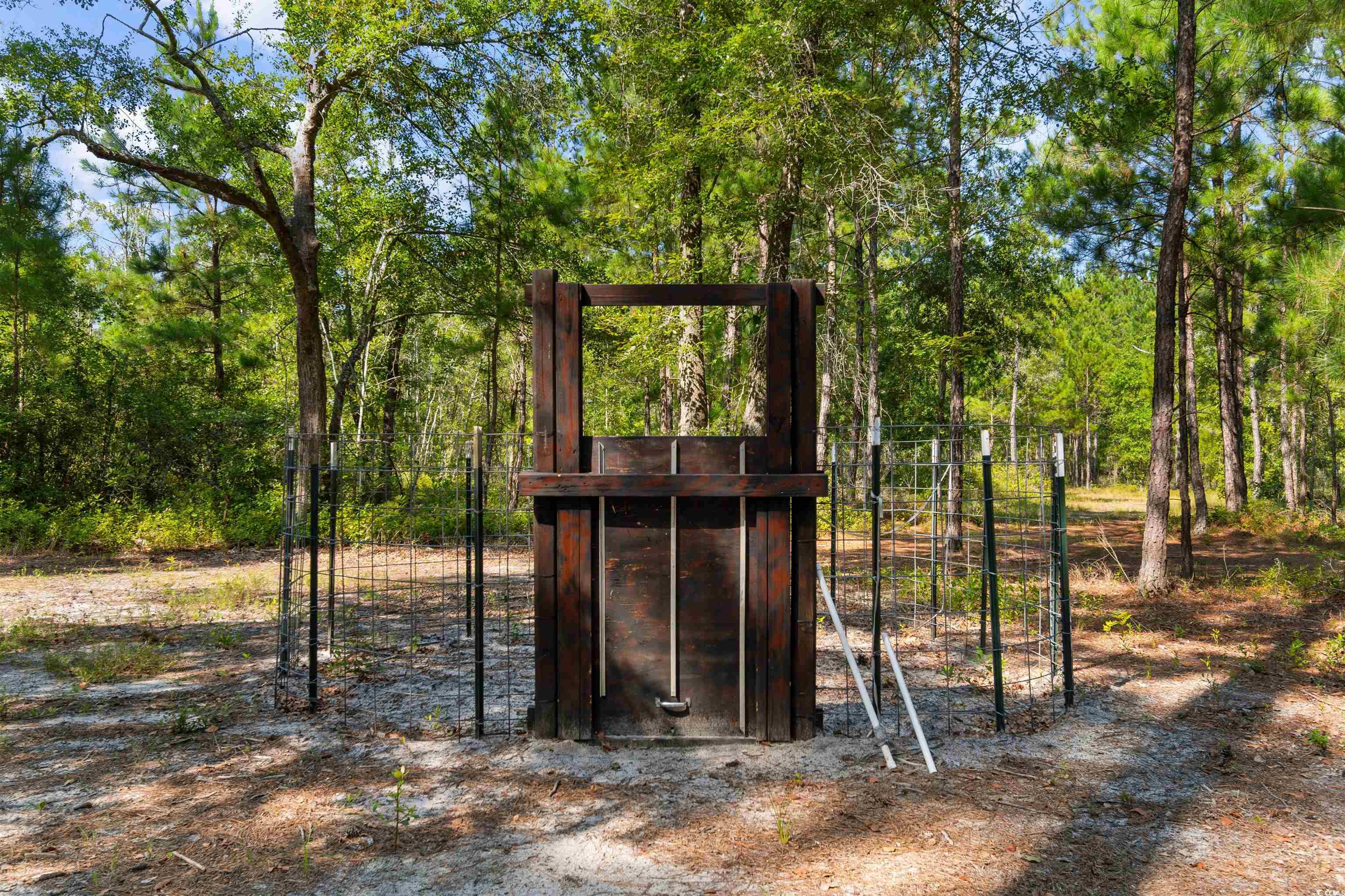 Tbd Cartwheel Road Mullins, SC 29574 - Photo 8 of 19