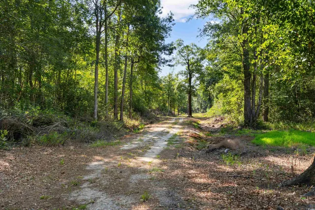 $325,000 | Tbd Cartwheel Road, Mullins, SC 29574