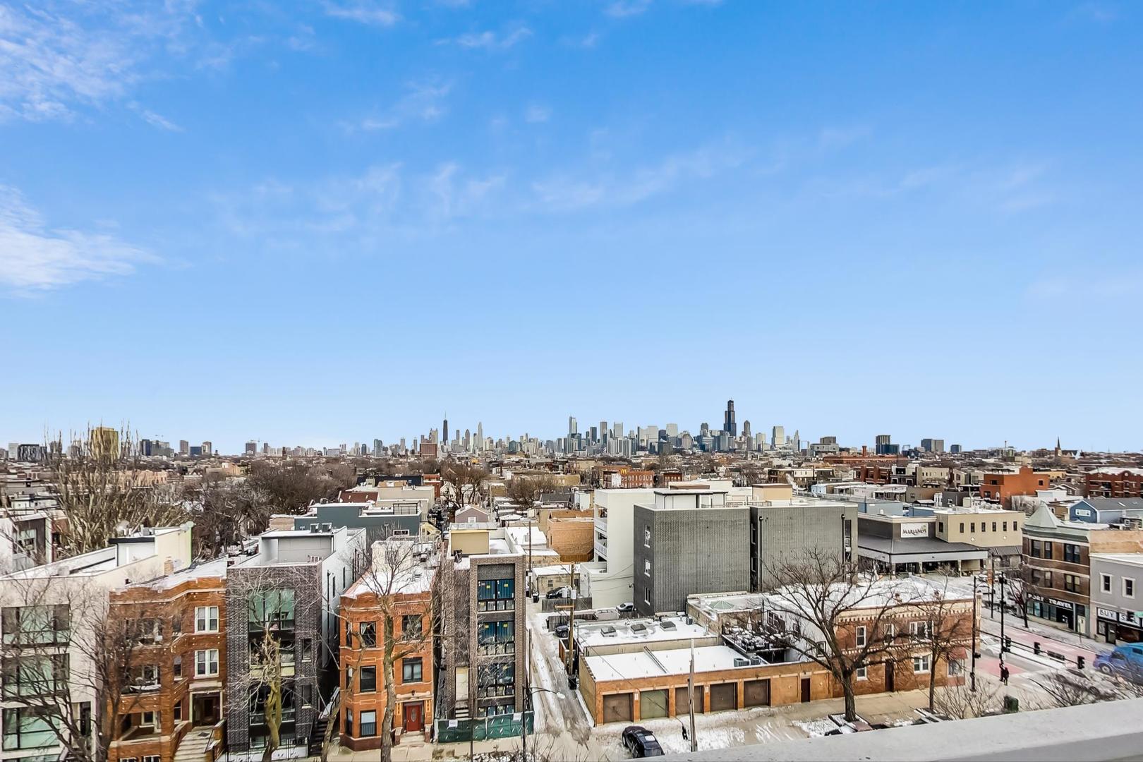 2101 West Rice Street, Unit 103 Chicago, IL 60622 - Photo 39 of 44 a view of a city