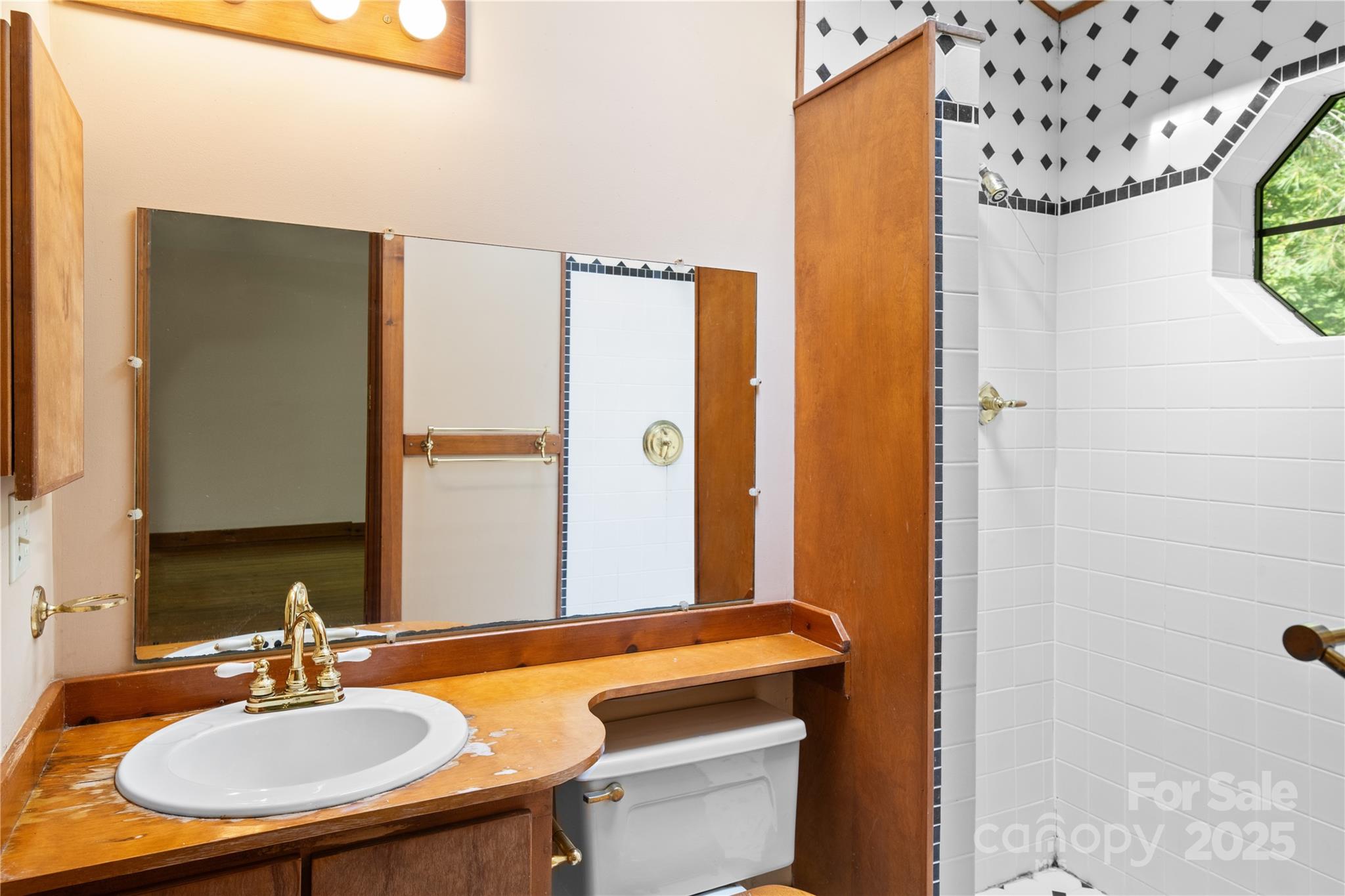 32 Delano Road Asheville, NC 28805 - Photo 26 of 46 a bathroom with a sink and a mirror