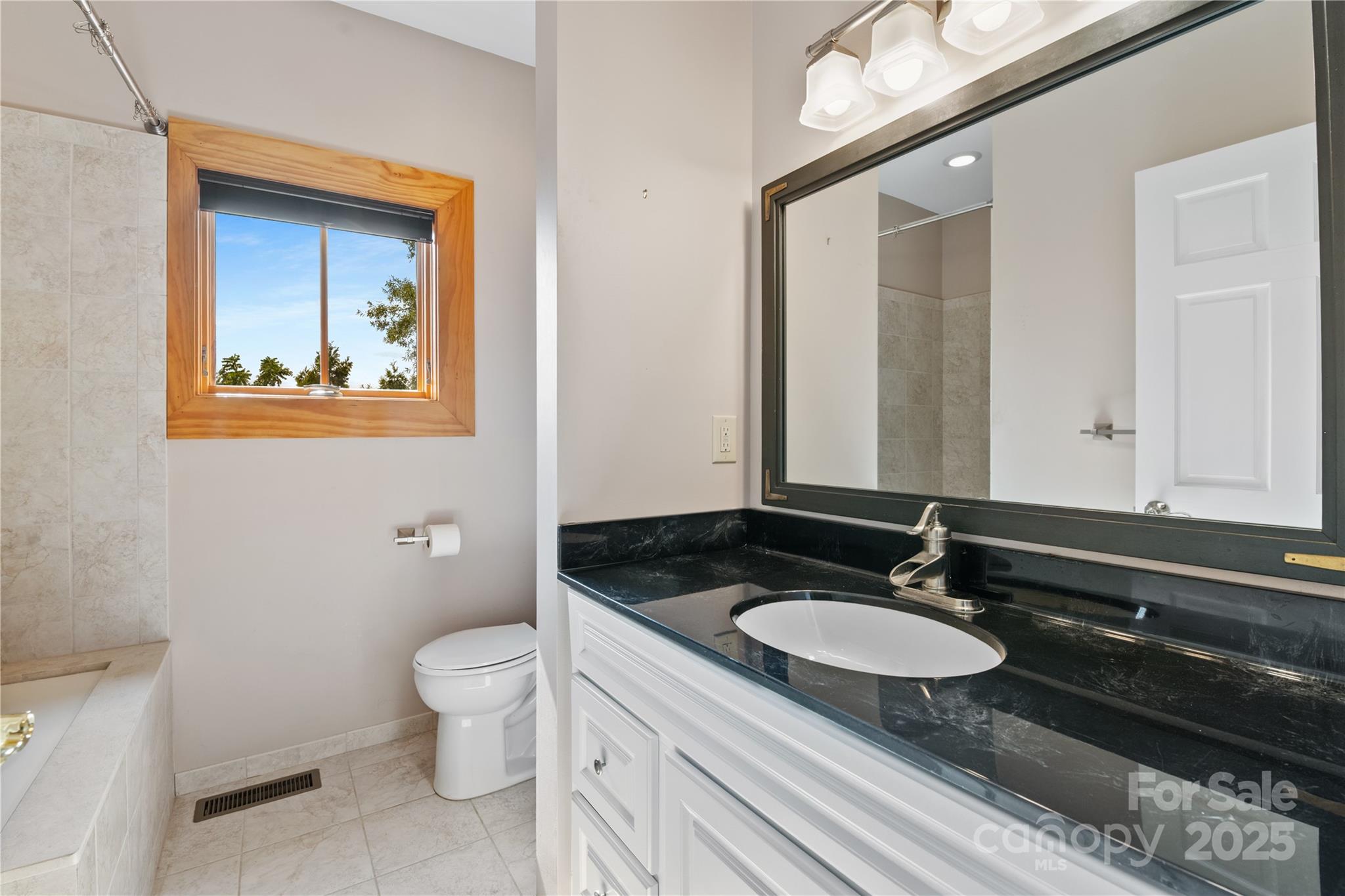 32 Delano Road Asheville, NC 28805 - Photo 29 of 46 a bathroom with a granite countertop sink and a mirror